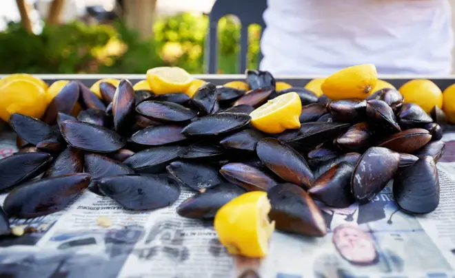 Bir midye tepsisinde midye dolmalar ve limonlar