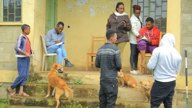 በሆሳዕና ከተማ በተለያዩ ጊዜያት የውሾች ክትባት መርሃ ግብሮች ተካሂደዋል