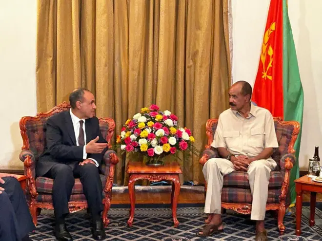 የኤርትራው ፕሬዝዳንት እና የግብፅ የውጭ ጉዳይ ሚኒስትር 