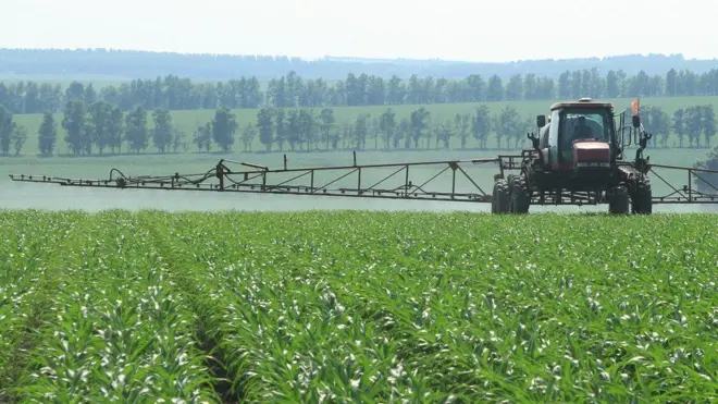 వ్యవసాయం