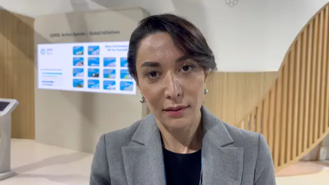 Səbinə Əliyeva, Ombudsman