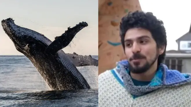 ?????? ????? ???? ??? ??????? ???????