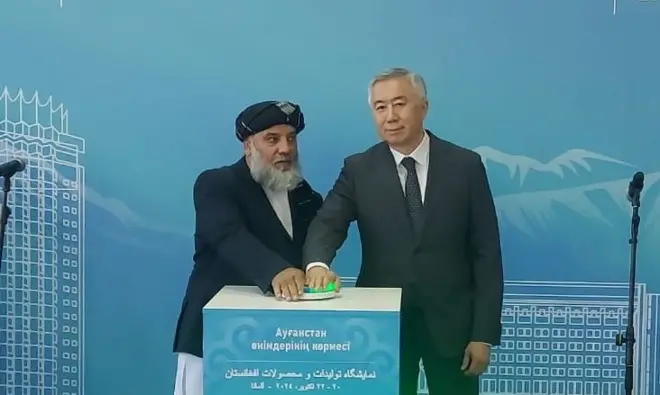 الماتا
