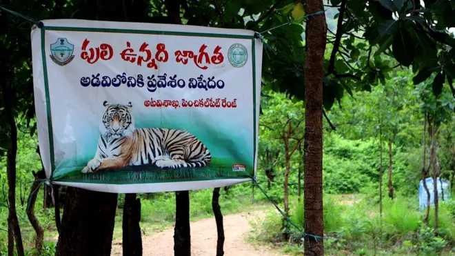 తెలంగాణ, జీవో 49, ఆదివాసీలు, కుమ్రం భీమ్ కన్జర్వేషన్ రిజర్వ్