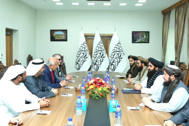 امریکايي او طالب پلاوی