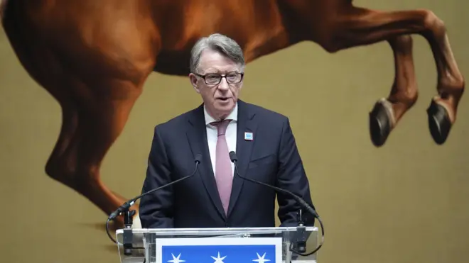 Мадельсон в костюме с галстуком стоит перед микрофонами; пьедестал для микрофонов синего цвета с белыми звездами. На стене за мужчиной — большая картинка, от которой на фотографии видна только нижняя часть лошади.