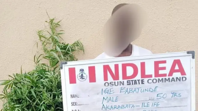 Aworan Ige Babatunde