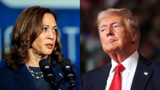 హారిస్, ట్రంప్