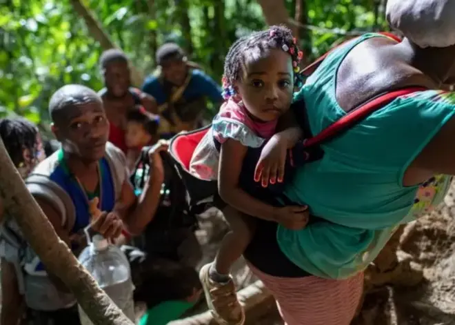 Des migrants en marche dans la forêt.