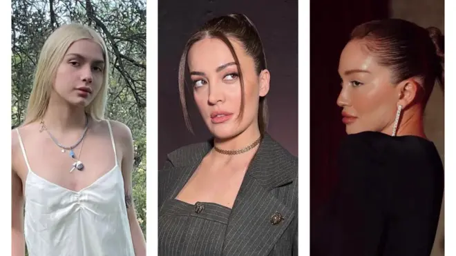 Tilki, Sak ve Bilic kolajı