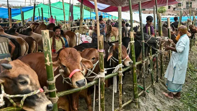 ঢাকার একটি গরুর হাট