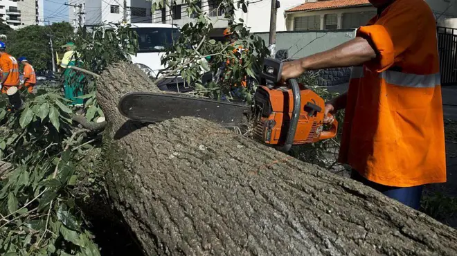 Trabalhador corta com motoserra árvore caída no chão 