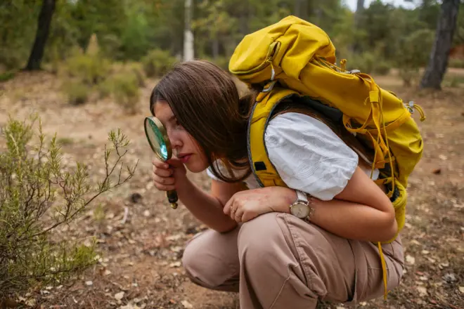 زموږ مغز نشي کولی په یوه وخت کې د یوې منظرې ټول شیان وارزوي. پر ځای یې د تمرکز پر وړتیا تکیه کوي.