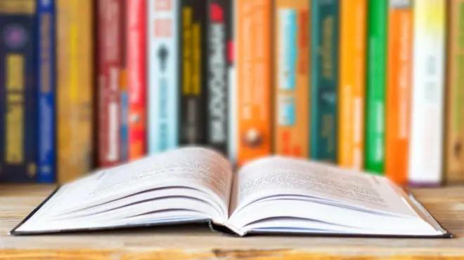 Книга (иллюстративное изображение)