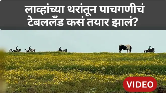 थंबनेल