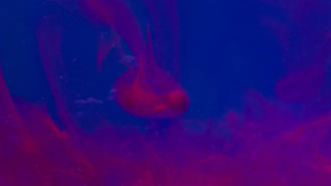 تصویر تزیینی