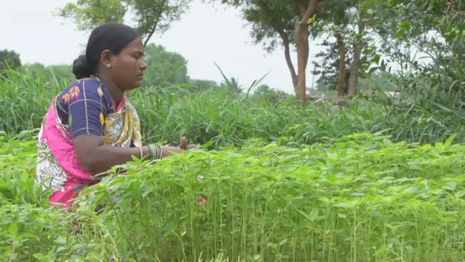 హైదరాబాద్ ధరలు