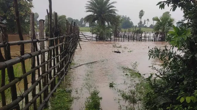 मुसळधार पावसामुळे अनेक ठिकाणी पूरस्थिती