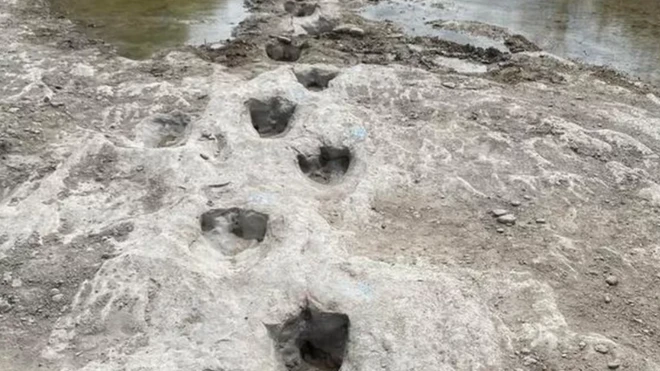 Texas'ta bulunan ayak izleri