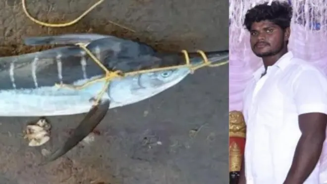 शिंगं असलेला कोनम मासा, बेपत्ता मच्छिमार यारैय्या