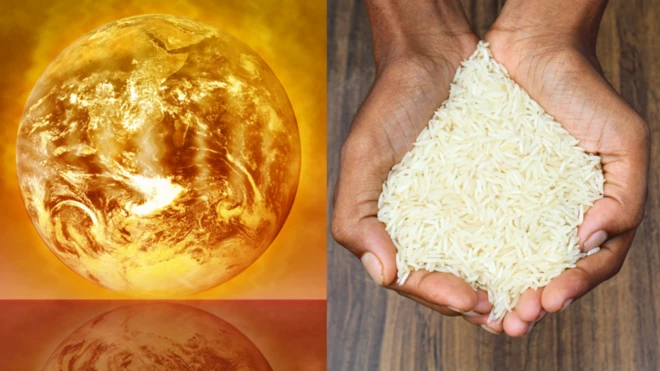 தேசிய வானிலை முகமைகளின் பல கணிப்புகள், இந்த எல் நினோ இதுவரை இல்லாத அளவிற்கான மிக வலுவான "சூப்பர் எல் நினோ" ஆக நிரூபிக்கப்படலாம் என்பதைக் காட்டுகின்றன.
