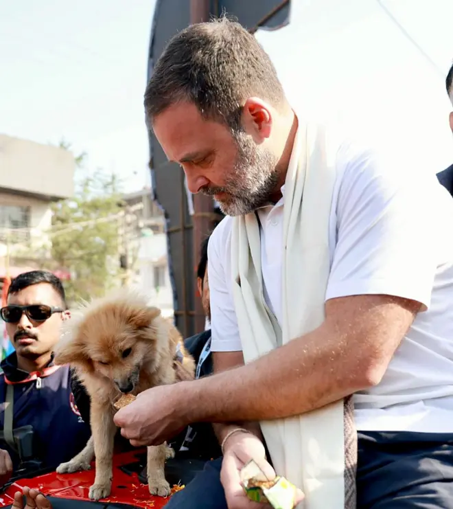 राहुल गांधी 