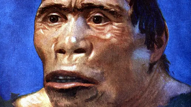 Ilustrasi rekonstruksi wujud hidup Manusia Jawa