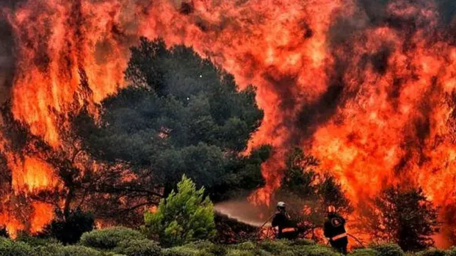 जंगल में आग