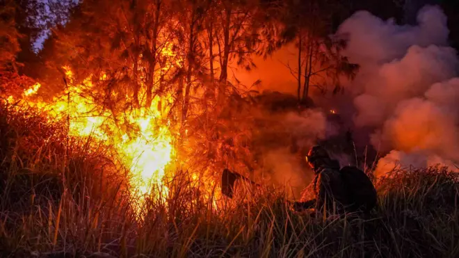 Petugas gabungan berupaya memadamkan kebakaran hutan di kawasan Taman Nasional Bromo Tengger Semeru (TNBTS), Kabupaten Pasuruan, Jawa Timur, Minggu (9/8/2026). Upaya pemadaman di kawasan terdampak dilakukan melalui jalur darat dan udara dengan mengerahkan tiga helikopter, tujuh mobil pemadam kebakaran, drone dan sementara luas kawasan TNBTS yang terdampak kebakaran diperkirakan mencapai 520 hektare dan masih dalam proses pendataan.