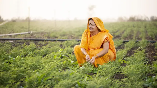 प्रातिनिधिक फोटो