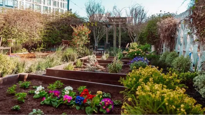 انسانی فضلہ