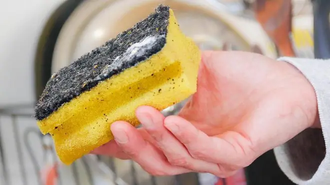 बर्तन धोने का स्पंज