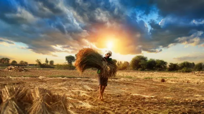 ગુજરાત, ચોમાસું, હવામાન, બીબીસી ગુજરાતી