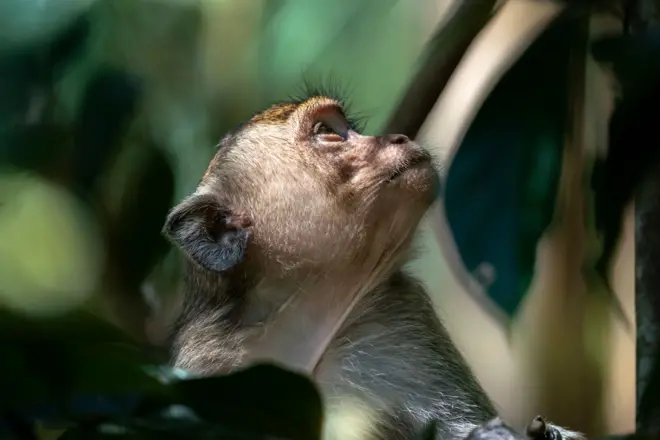 Меняющаяся планета