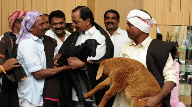 తెలంగాణలో గొర్రెల పంపిణీ పథకం