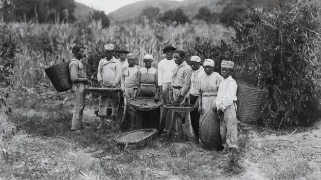 Grupo de pessoas negras segurando balaios para realizar colheita de café
