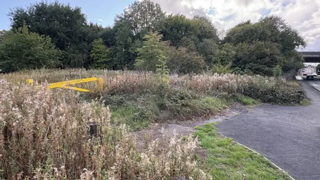 An area of grassland next to a road.