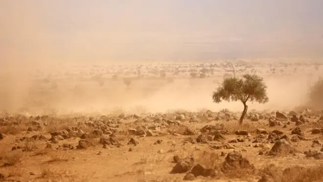 प्रतिकात्मक फोटो