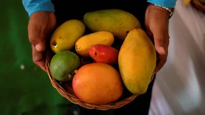 Indian mango