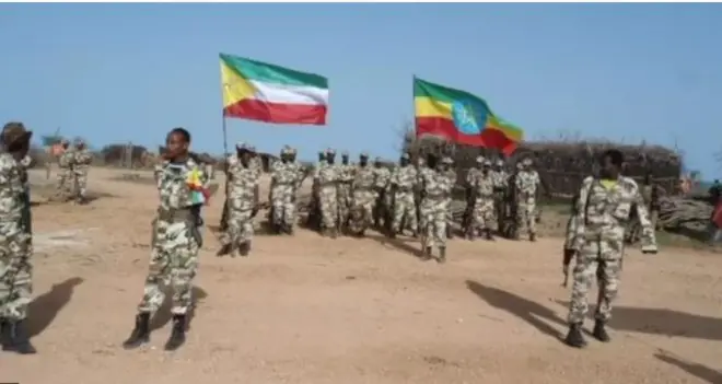 Sawir hore: Liyu Boolis