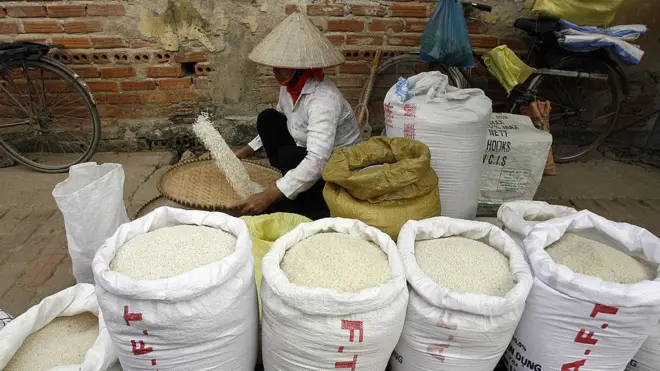 Vietnam rice