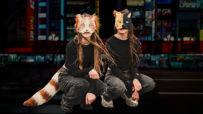 субкультура, квадробери 