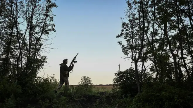 Военный с винтовкой смотрит в поле на опушке леса в сумерках.