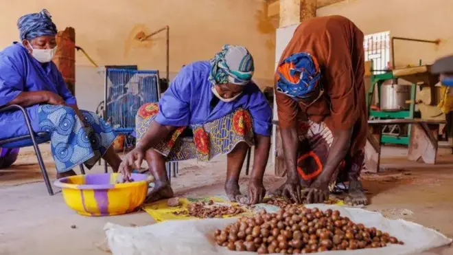 Three women gada and process di nuts locally on top one white leather