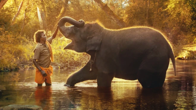 द एलिफंट व्हिस्परर्स