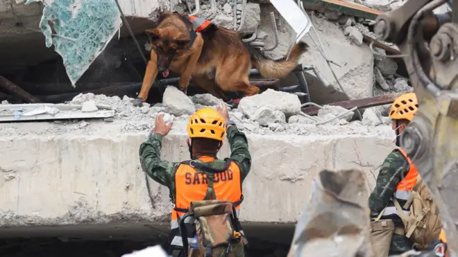 地震救援人員和搜救狗在營救中