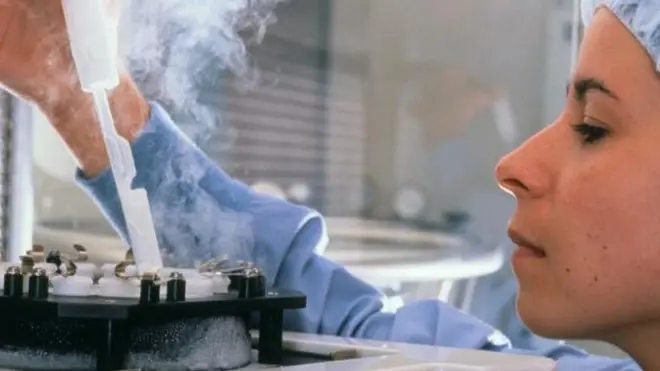 الباحثون يطورون تقنيات جديدة تسمح بانتقاء البويضات الأكثر نضجا