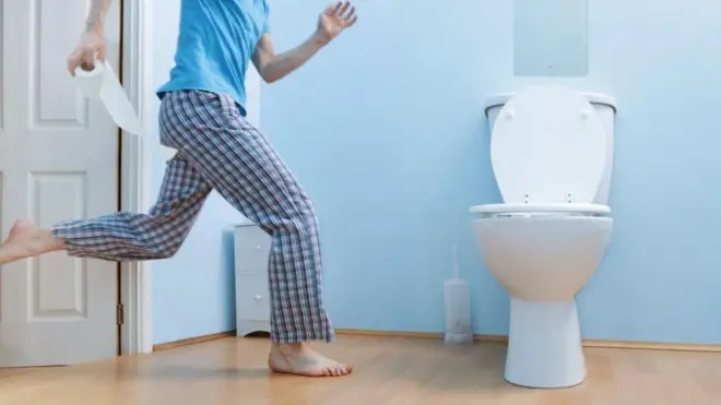 ఆహారం, జీర్ణవ్యవస్థ, మలవిసర్జన