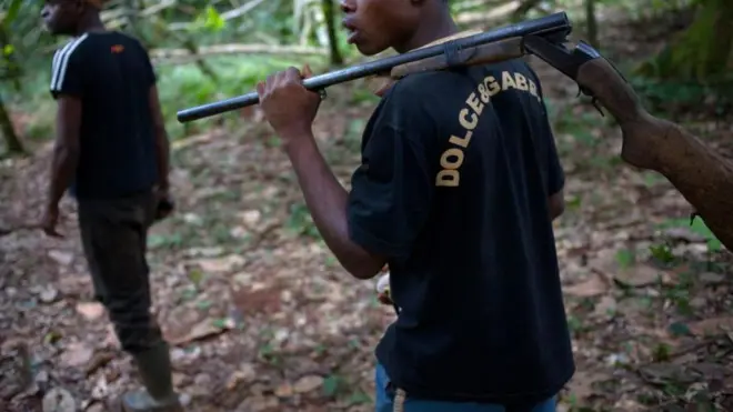 Awọn ọlọde ninu igbo