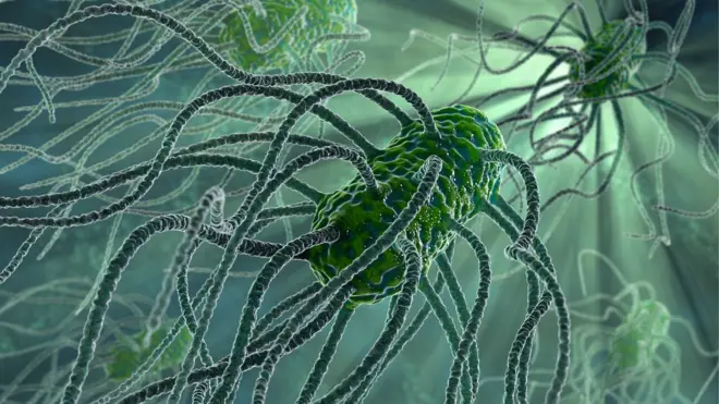 Some bacteria are becoming resistant to our best drugs